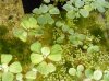2011_07070033.jpg