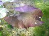 2011_07100006.JPG