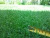 2011-07-13 14.24.45.jpg