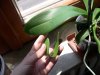 DSCN2543.jpg