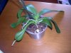 DSCN2539.jpg