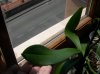 DSCN2542.jpg