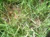 DSCF0839.jpg