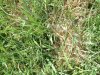 DSCF0840.jpg