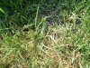 DSCF0841.jpg
