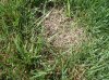 DSCF0842.jpg