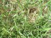 DSCF0843.jpg