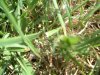 DSCF0835.jpg