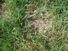 DSCF0836.jpg