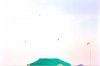 Frecce Tricolore 3.jpg