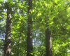 IMG_2328.jpg