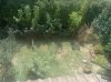 IMG127.jpg