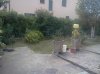 IMG129.jpg