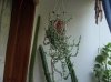 DSCN0214.jpg