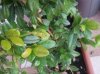 2011-08-21 10.54.19.jpg