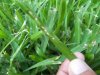 2011-08-21 19.09.43.jpg