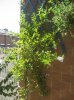 IMG_1350.jpg IMG_1350.jpg