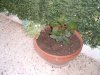 DSCF0932.jpg