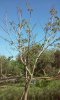 IMG-20150512-WA0004.jpg IMG-20150512-WA0004.jpg