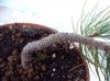 DSCN0034.JPG