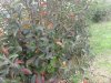 2016-01-03 11.31.43-min.jpg