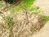 File 08-01-16, 21 07 36.jpeg