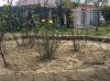 File 09-01-16, 13 55 58.jpeg
