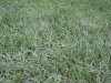 DSCN1173.jpg