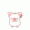 cute_pig_07.gif