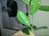 IMG-20160120-WA0005.jpg