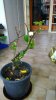 rps20160129_084153.jpg
