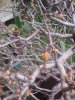IMG_20160126_162347.jpg