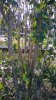 WP_20160118_10_55_17_Pro.jpg