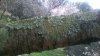 IMG-20160209-WA0003.jpg