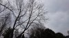 DSC_0035.JPG