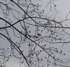 DSC_0036.JPG