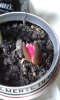 20160217_134059.jpg