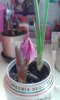 20160221_135640.jpg