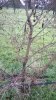 WP_20160216_14_17_12_Pro.jpg