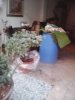 IMG_20160211_171556.jpg