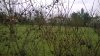 WP_20160216_14_17_17_Pro.jpg