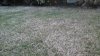 20160305_171446.jpg