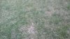 20160305_171543.jpg