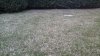 20160305_171457.jpg