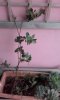20160306_082613.jpg