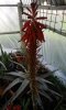 20160326_153408_resized_2.jpg