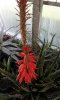 20160326_153415_resized_2.jpg
