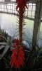 20160326_153419_resized_2.jpg