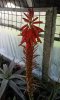20160326_153451_resized_2.jpg