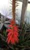 20160326_153457_resized_2.jpg